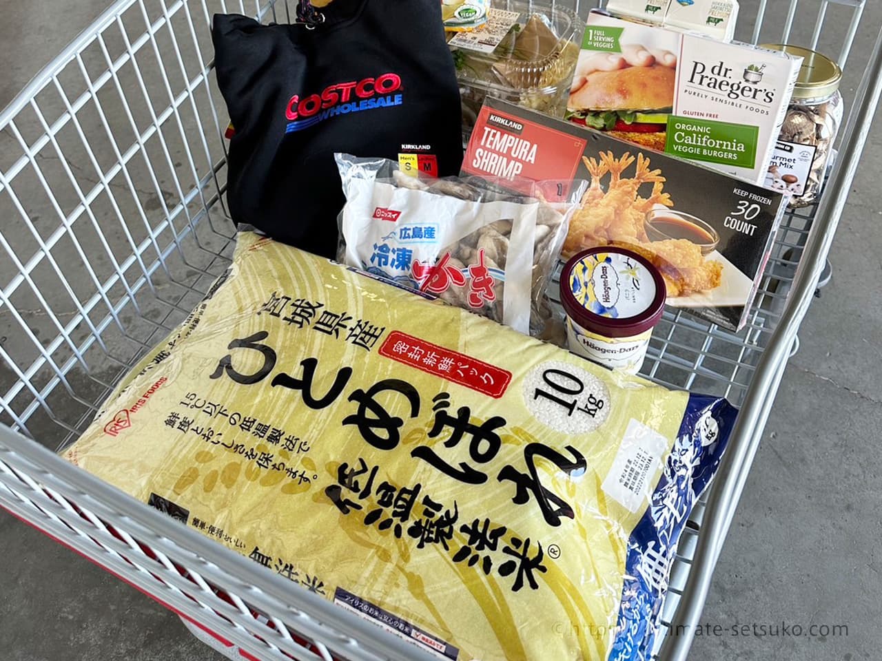 節子のコストコ購入品 1月2日分 新年初売りに行ってきたよーん