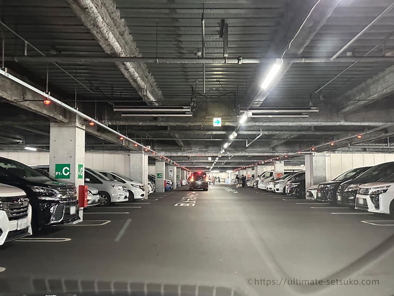 節子のコストコ購入品 1月2日分 新年初売りに行ってきたよーん