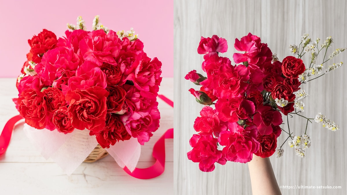 コストコのお花！母の日を彩る真っ赤なカーネーションのバンチ