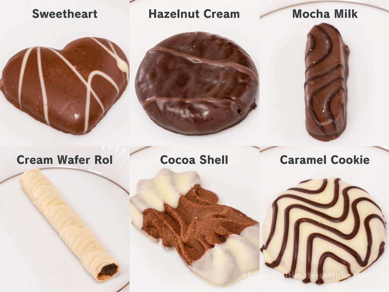 コストコのヨーロピアンクッキーにベルギーチョコバージョンが登場 全15種類と保存方法解説