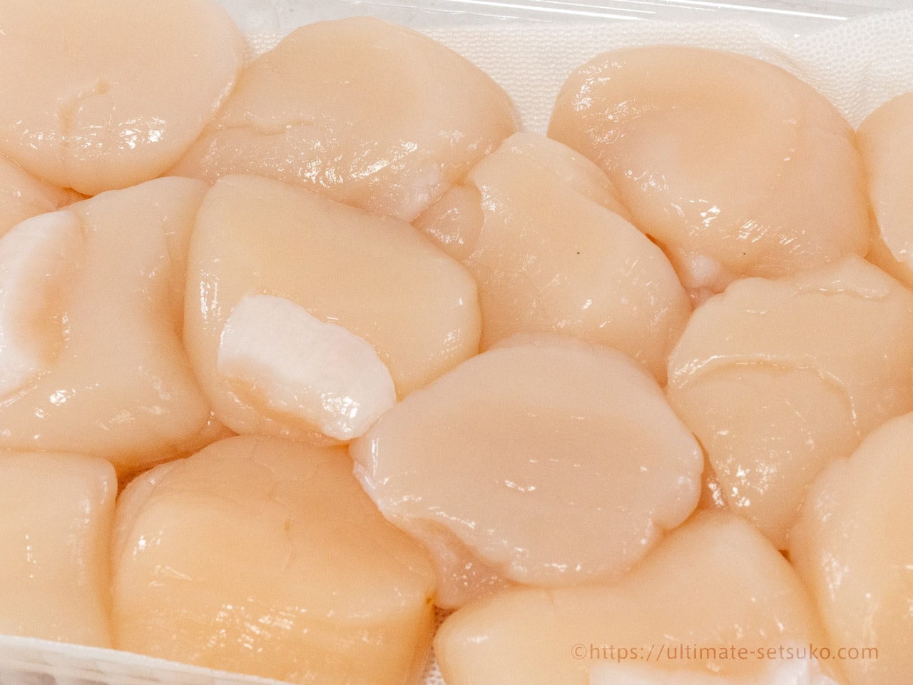 コストコの生ホタテが美味しい 刺身用ほたて貝柱のアレンジレシピは保存方法を紹介