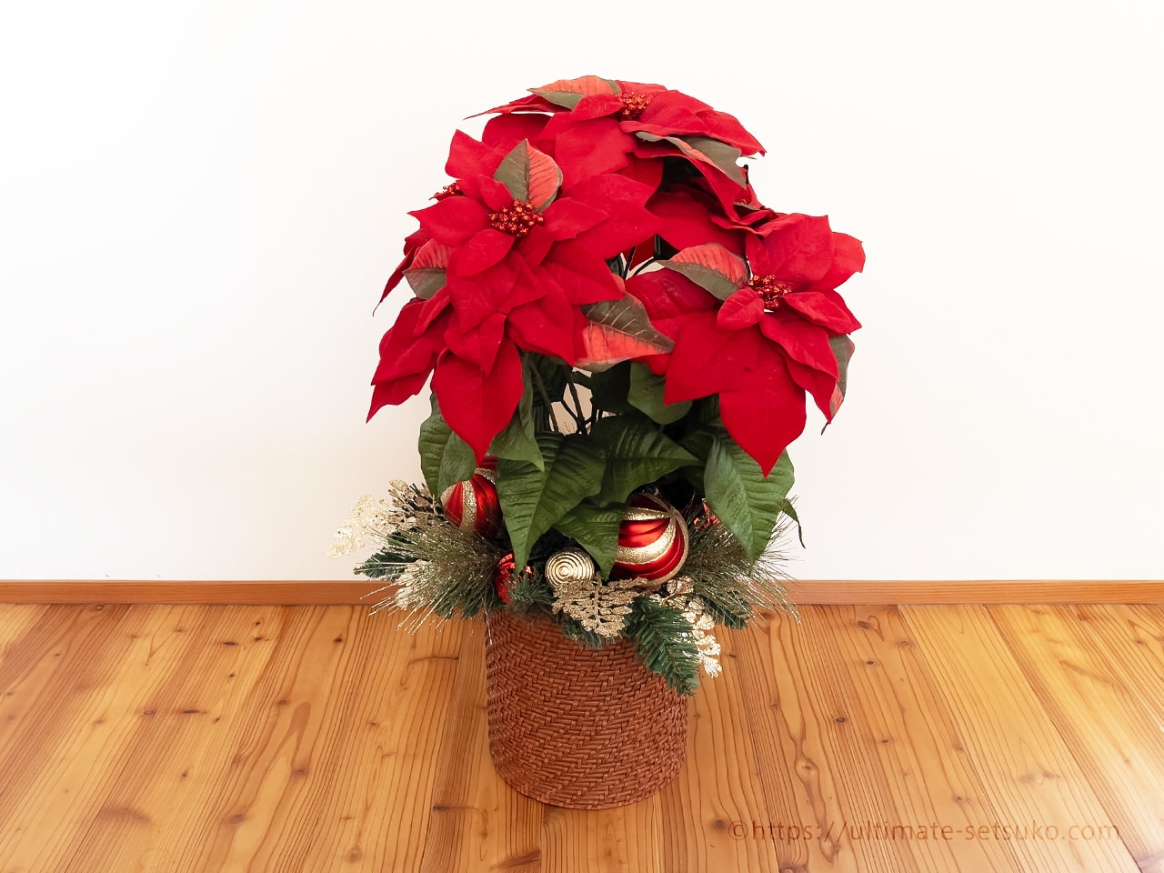 コストコのクリスマスおすすめ品はやっぱりポインセチアの鉢植え 置くだけで華やかな気分に