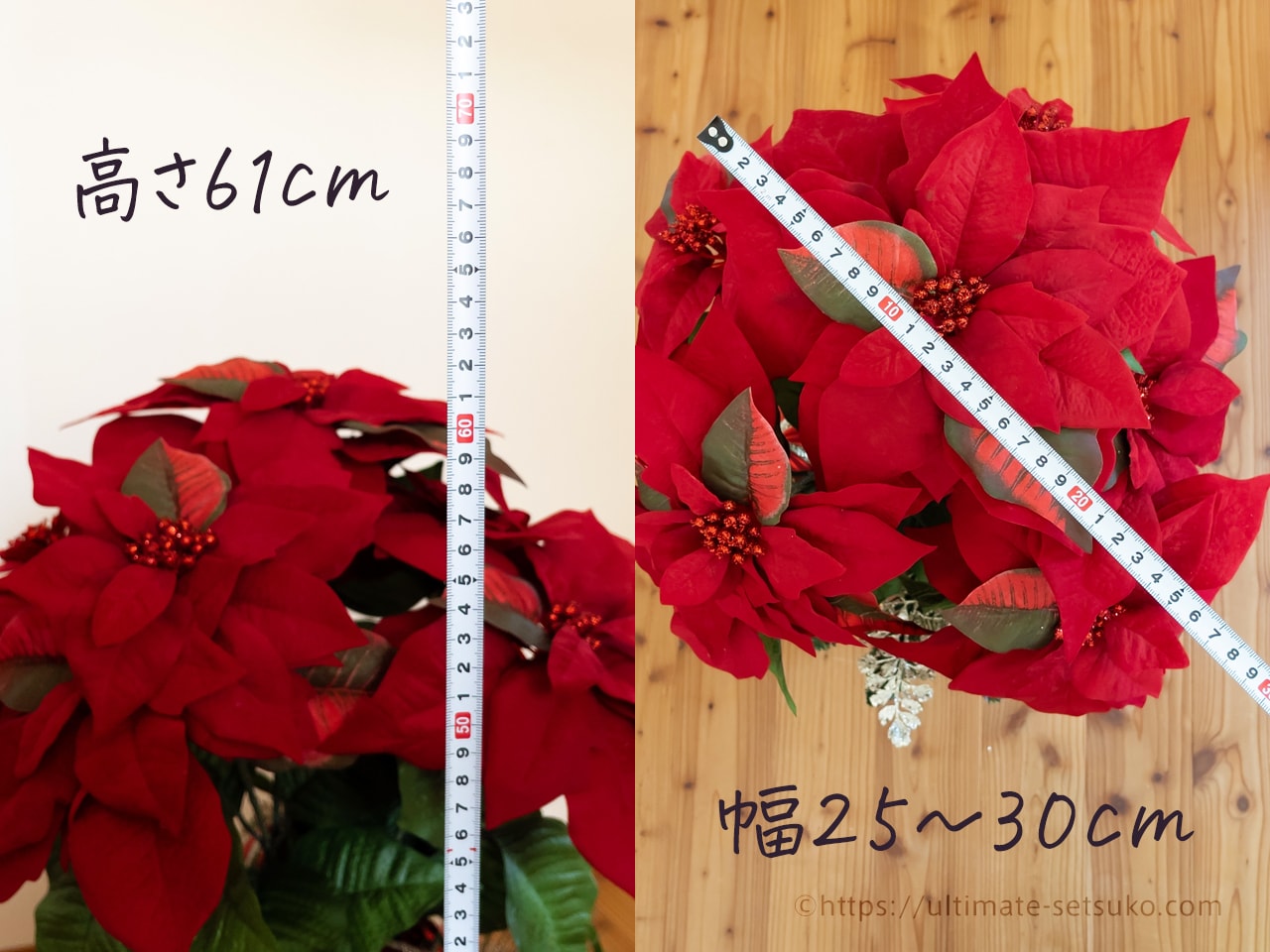 コストコのクリスマスおすすめ品はやっぱりポインセチアの鉢植え 置くだけで華やかな気分に