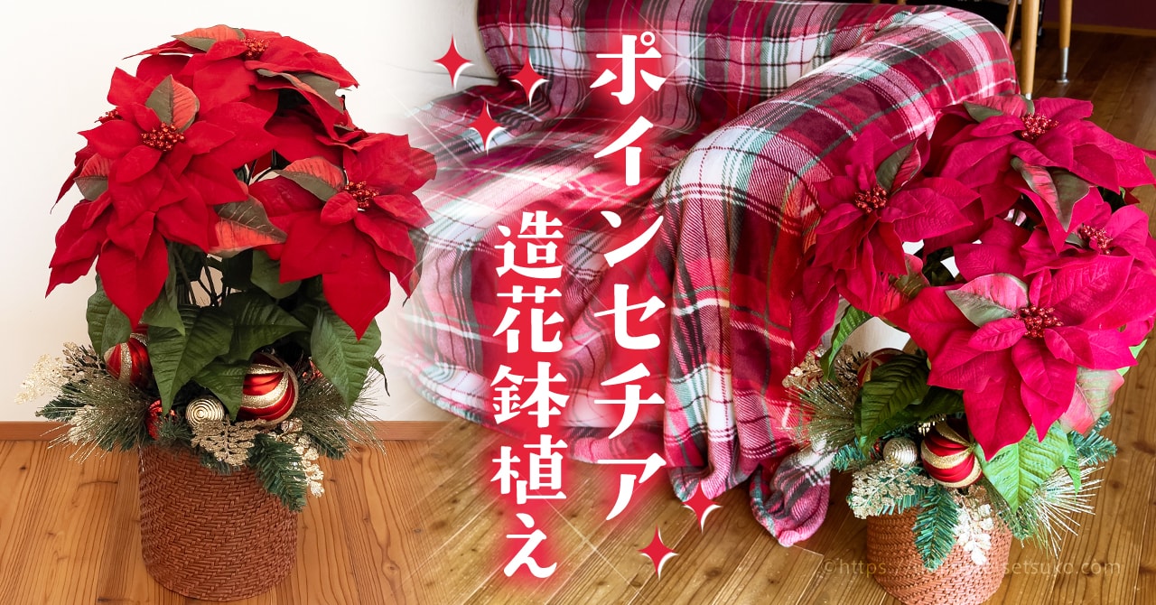 コストコのクリスマスおすすめ品はやっぱりポインセチアの鉢植え！置くだけで華やかな気分に