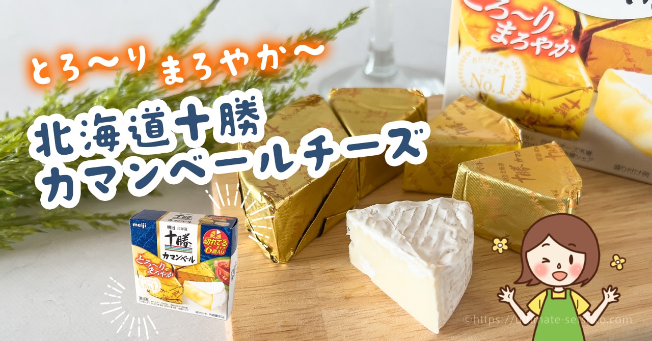 市場 在庫限り 北海道 十勝 コストコ COSTCO MEIJI カマンベールチーズ 明治