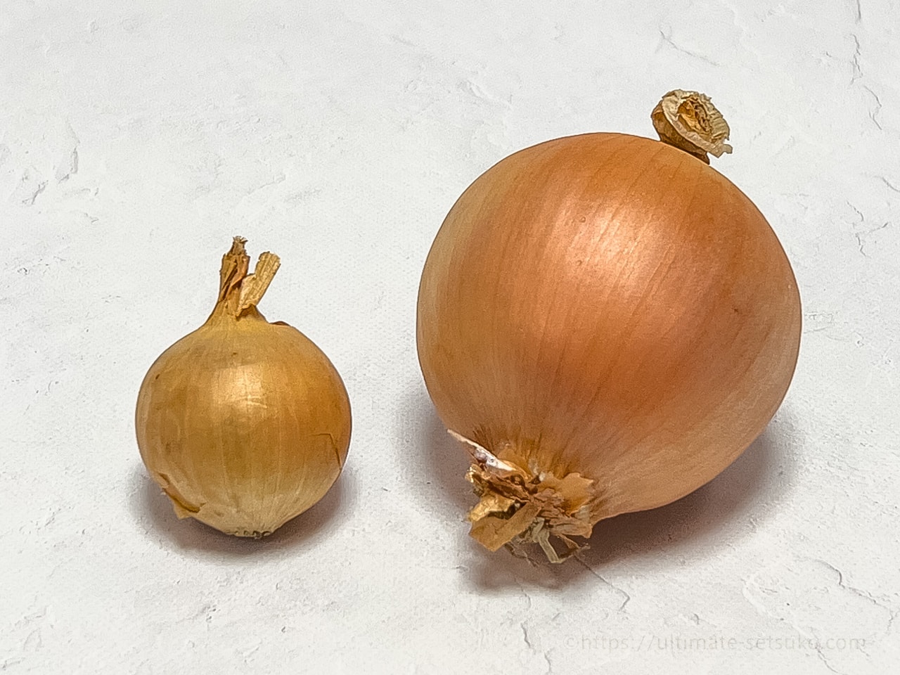コストコで売っているペコロスってなに 玉ねぎとの違いやレシピを紹介 コストコで売っているペコロスってなに 玉ねぎとの違いやレシピを紹介