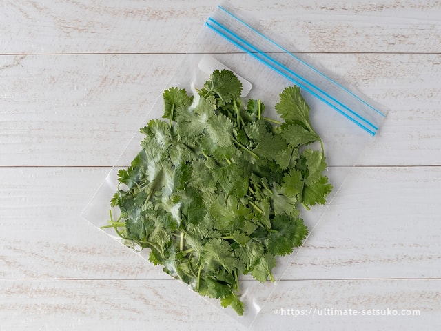 コストコの国産パクチーはたっぷり0gでコスパ良 レシピと保存方法を紹介