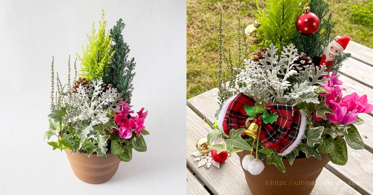 コストコのウィンタープランターはクリスマス～お正月まで飾れておすすめ！冬の自宅が華やかに