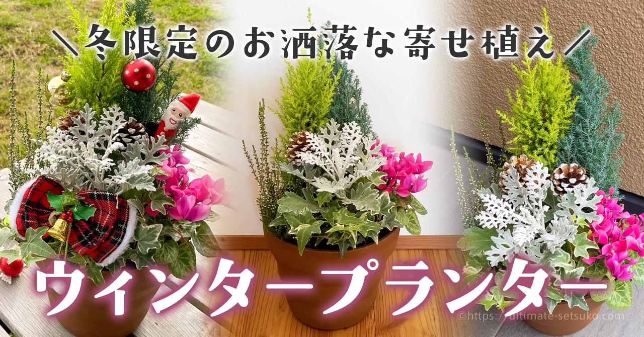コストコのウィンタープランターはクリスマス お正月まで飾れておすすめ 冬の自宅が華やかに